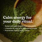Ceremonial Honey Matcha Green Tea Powder